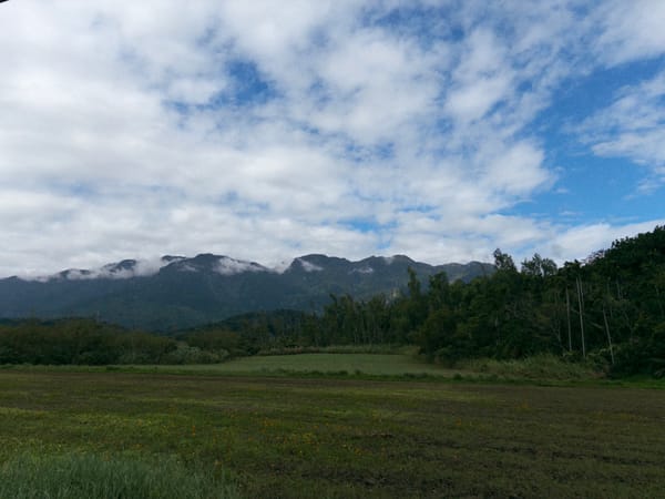 接案人生 1.5 年，心得雜談